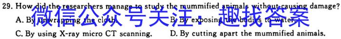 江淮名卷·2023年中考模拟信息卷（二）英语