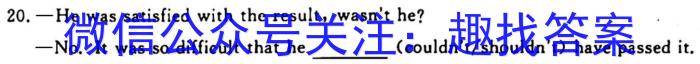 广东省揭阳市惠来县2023届九年级第一学期期末质量检测英语