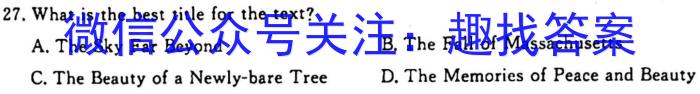 安徽省九年级2022-2023学年新课标闯关卷（十）AH英语