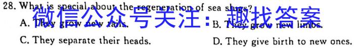 昆明市2023届“三诊一模”高三复习教学质量检测英语