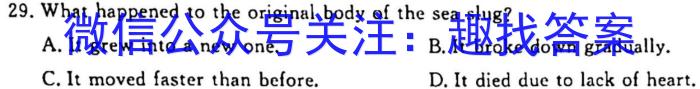 2023届河北省石家庄市高三年级第二次质量检测英语
