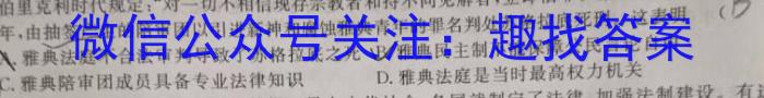 湘豫名校联考 2023年3月高三第一次模拟考试政治~