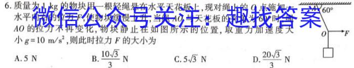 2023年普通高等学校招生全国统一考试 高考仿真冲刺卷(五)5f物理