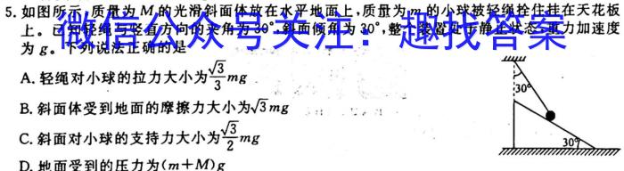 2023年全国高考冲刺压轴卷(二)2l物理
