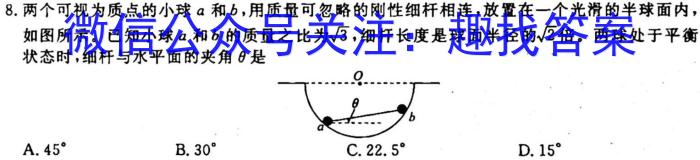 2023届陕西省九年级期末教学质量检测(23-CZ84c).物理