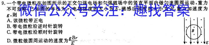 2023届衡水金卷先享题信息卷 全国乙卷A二q物理