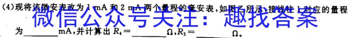 安徽第一卷·2023年九年级中考第一轮复*（一）物理.