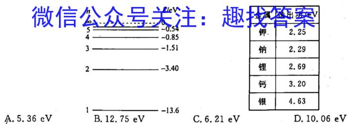 2022-2023衡水金卷先享题高考备考专项提分卷(新教材)高考大题分组练(2)试题物理.