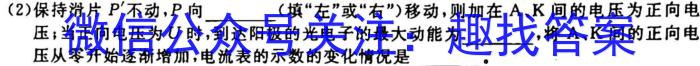 炎德英才大联考长沙市一中2023届高三月考试卷(七)物理.