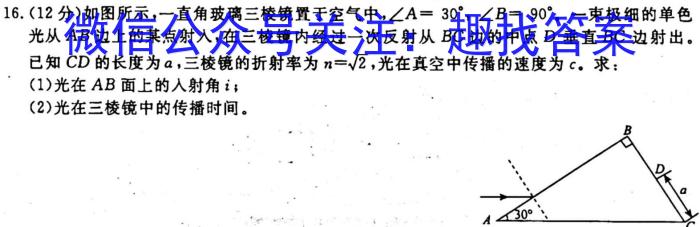 安徽省2024届八年级下学期阶段评估（一）物理.