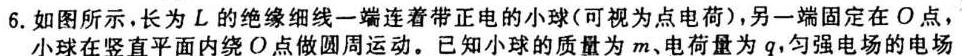 024-2023年度信息压轴卷(一)1-物理试题及答案"