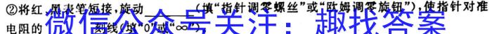 安徽第一卷·2023年九年级中考第一轮复*（十三）物理.