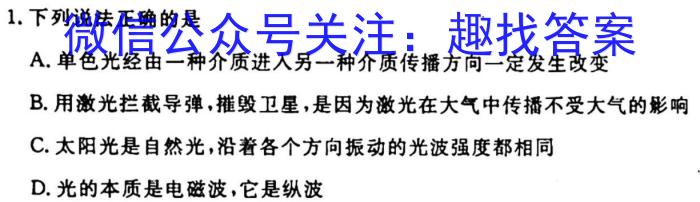 安徽第一卷·2023年九年级中考第一轮复*（十二）物理.
