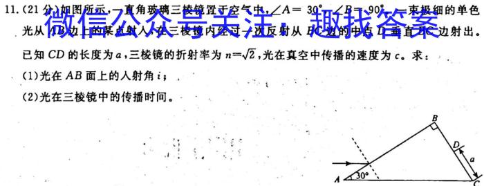 江淮教育联盟2023年春季九年级第一次联考物理.