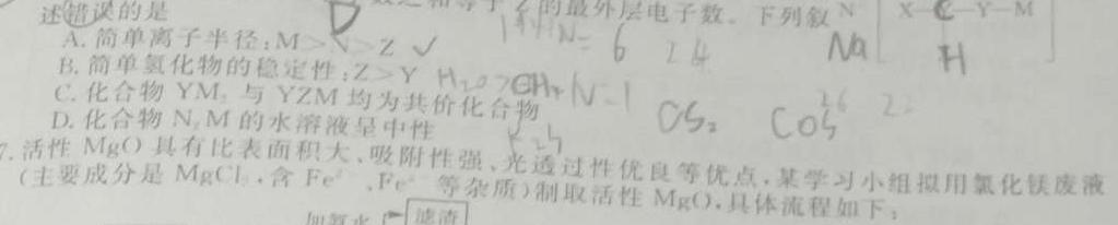 2022-2023衡水金卷先享题·月考卷下学期高三一调(新教材)化学