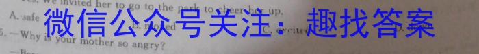 2023河南青桐鸣联考高二3月考试英语试题