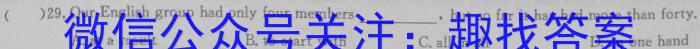 安徽省九年级2022-2023学年新课标闯关卷（十一）AH英语试题