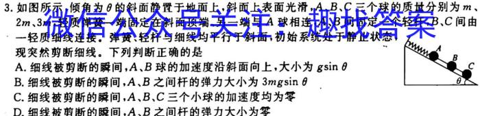 安徽省九年级2022-2023学年新课标闯关卷（十三）AH物理.