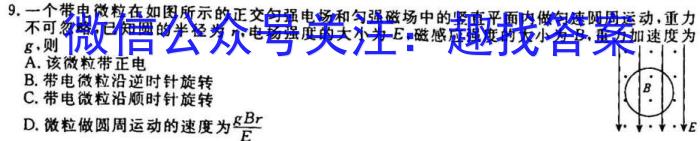 枞阳县2022-2023学年度七年级第一学期期末质量监测物理`