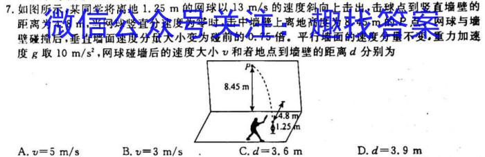 河北省2023届高三年级大数据应用调研联合测评(III）.物理