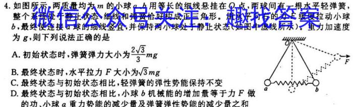 智慧上进2023届限时训练40分钟·题型专练卷(九)物理`