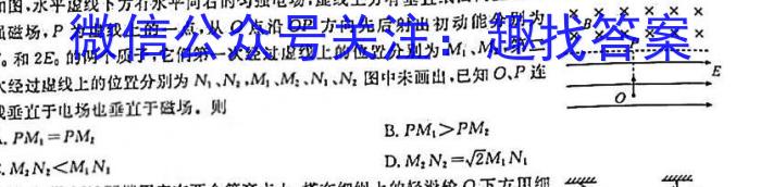 山西省实验中学2023届九年级第二学期第五次阶段性测评（卷）物理.