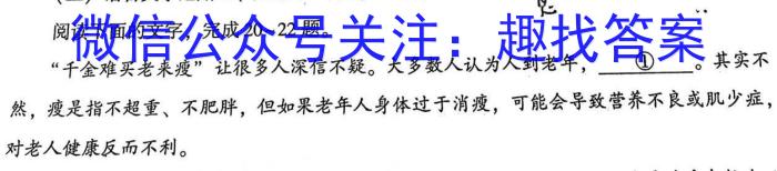 中考模拟系列2023年河北省中考适应性模拟检测(巩固一语文