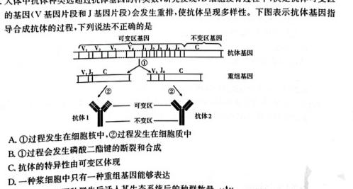 衡水金卷先享题信息卷2023全国乙卷B 二生物