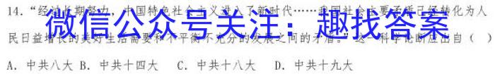 2023年普通高等学校招生全国统一考试名校联盟·模拟信息卷(八)8历史