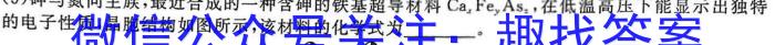 2023年陕西省初中学业水平考试·仿真摸底卷（A）化学