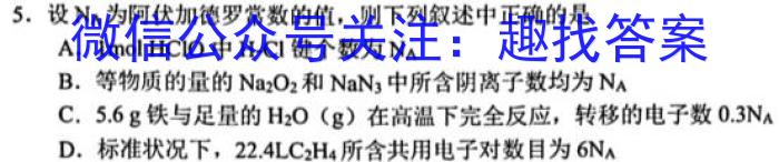 湖南省2023届高三一起考大联考(模拟一)化学