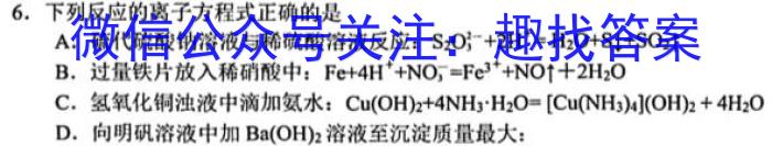 天一大联考 皖豫名校联盟 2022-2023学年(下)高一开学考化学