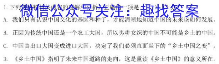 安徽省九年级2022-2023学年新课标闯关卷（十一）AH语文