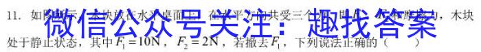 2022-2023衡水金卷先享题高考备考专项提分卷(新教材)高考大题分组练(6)试题物理.