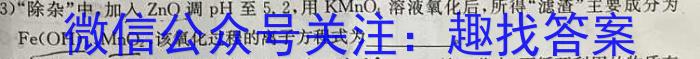 甘肃省镇原县2023年高考网上阅卷模拟考试化学