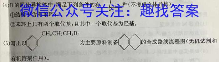 庐江县2022/2023学年度第一学期九年级期末教学质量抽测化学