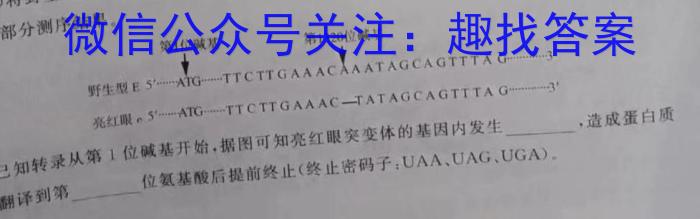 走向重点 2023年高考密破考情卷 宁夏(十)10生物