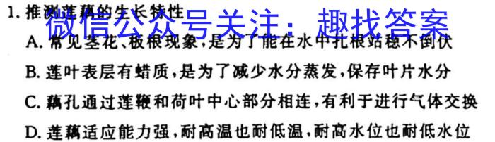天一大联考·河南省2023届九年级学业水平诊断（一）政治1