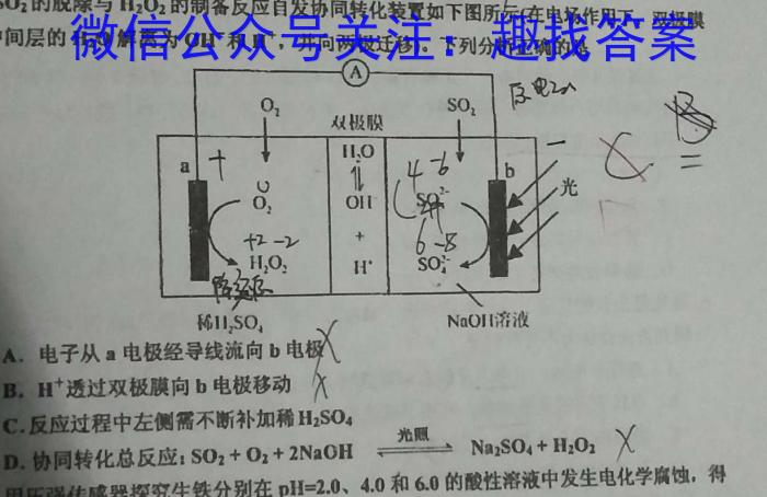 2022~2023学年秋毕节高二年级期末考试(23-269B)化学