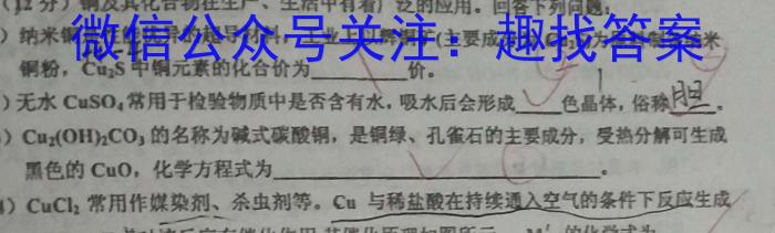 四川省2024~2023学年度上期期末高二年级调研考试(2月)化学