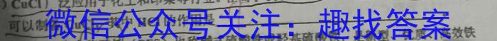 蒙城县2022-2023年度九年级第一学期义务教育教学质量检测(2月)化学