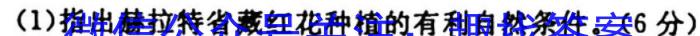 天一大联考 皖豫名校联盟 2022-2023学年(下)高二开学考地理