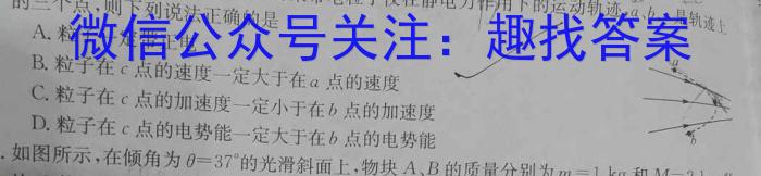 【陕西】2023年商洛市第一次高考模拟检测试卷（23-347C）物理.