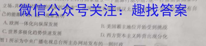 2023届普通高等学校招生全国统一考试 2月青桐鸣大联考(高三)(老高考)历史