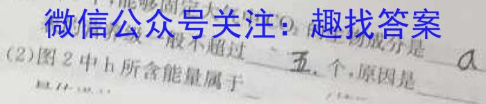 2022~2023学年度芜湖市高二上学期期末学情检测(23-261B)化学