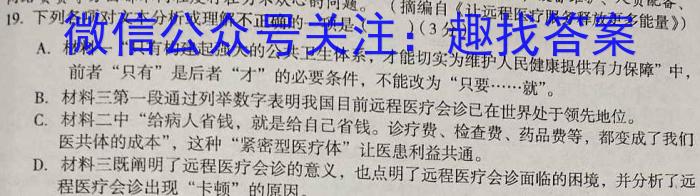 2023年陕西省初中学业水平考试全真模拟（三）语文
