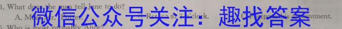 安徽第一卷·2023年九年级中考第一轮复*（十三）英语试题