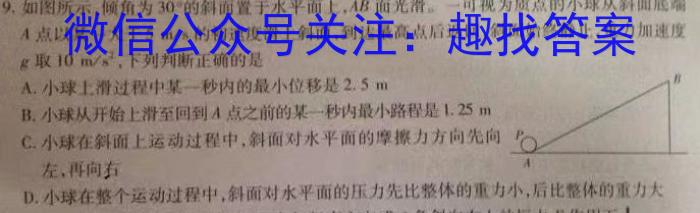 2023年全国高考冲刺压轴卷(二)2l物理