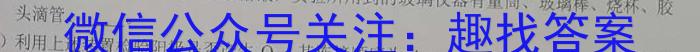 德宏州2024-2023年度高三年级秋季学期期末教学质量统一监测(2月)化学