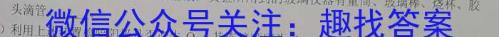 镇雄县民族中学2024年秋季学期高一年级期末考试(3252A)化学